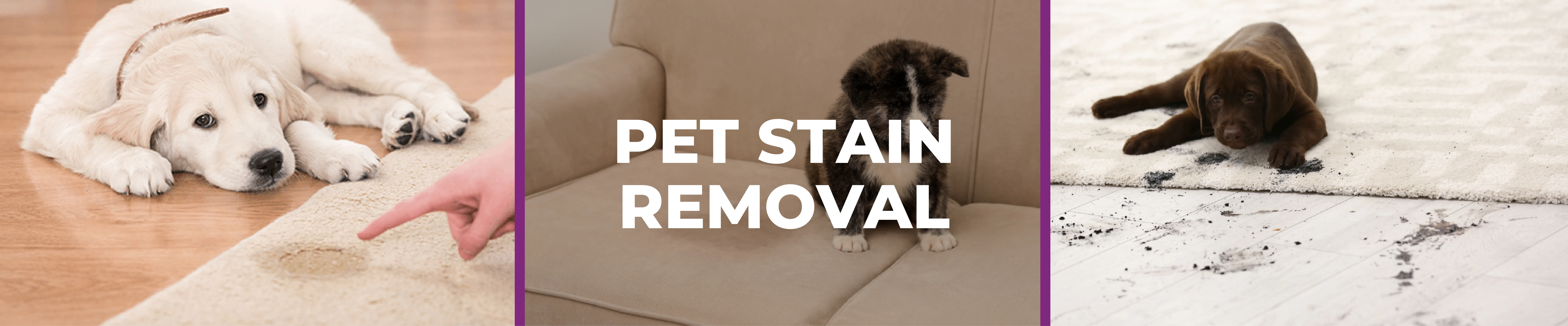 carpet cleaning in new york, carpet cleaning new york, carpet cleaners in new york, carpet cleaners in new york, commercial carpet cleaning, commercial carpet cleaning in new york, new york rug cleaners, rug cleaning services in new york, same day carpet cleaning, same day rug cleaning in new york