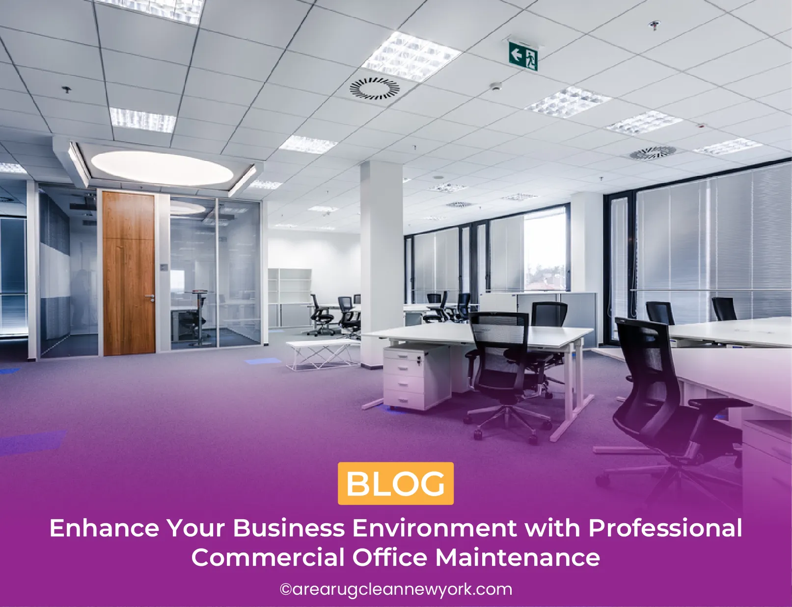 carpet cleaning in new york, carpet cleaning new york, carpet cleaners in new york, carpet cleaners in new york, commercial carpet cleaning, commercial carpet cleaning in new york, new york rug cleaners, rug cleaning services in new york, same day carpet cleaning, same day rug cleaning in new york